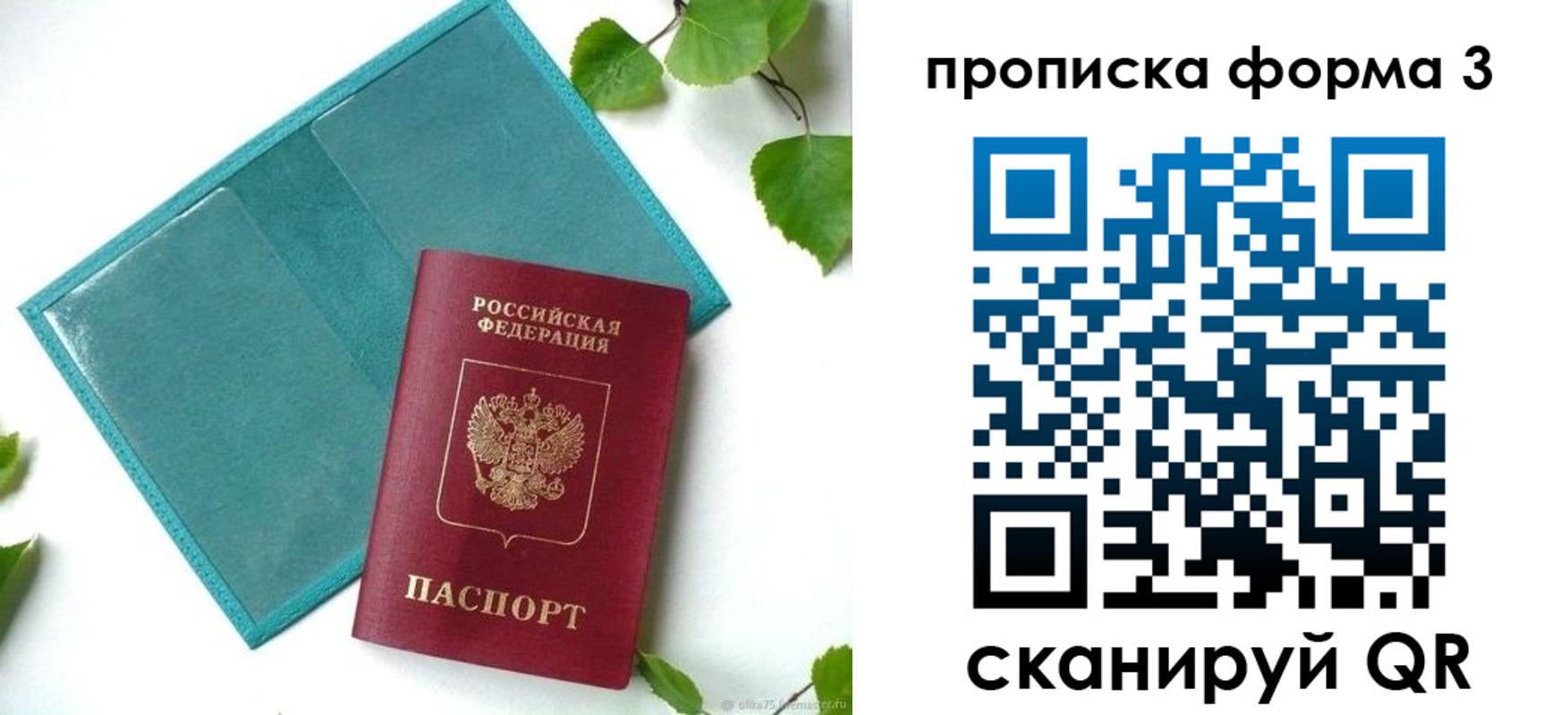 прописка ребенка в Жуковке